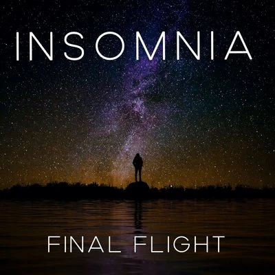 Insomnia 专辑 Final Flight/Three Drives