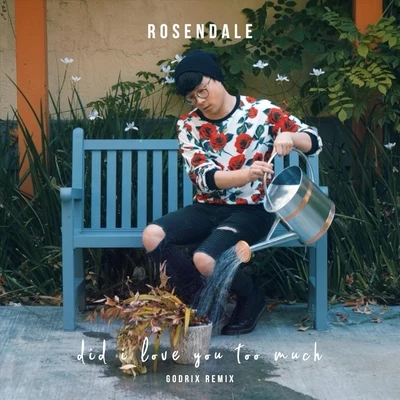 Did I Love You Too Much (Godrix Remix) 專輯 Rosendale