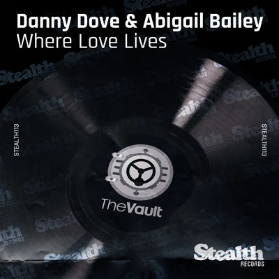 Where Love Lives (feat. Abigail Bailey) 專輯 Danny Dove