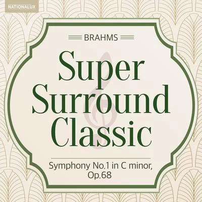 Super Surround Classic - Brahms：Symphony No.4 in e minor, Op.98 专辑 The Philharmonia Orchestra