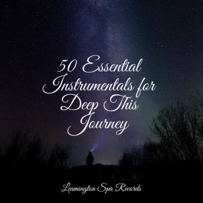 50 Essential Instrumentals for Deep This Journey 专辑 Nature Noise