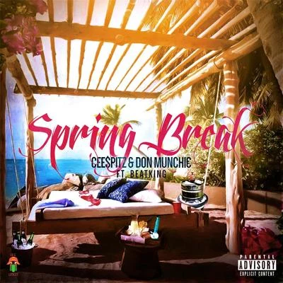 Spring Break (feat. Beatking) 专辑 Nephew Texas Boy/Beatking/DJ Funky/Slim Thug