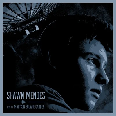 Live At Madison Square Garden 專輯 Shawn Mendes