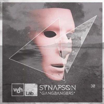 Woh Lab 30 Gangbangers 專輯 Synapson/Dominique Fils-Aimé