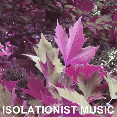 Isolationist Music 专辑 Robert Williams