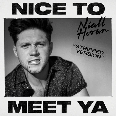 Nice To Meet Ya (Stripped Version) 專輯 Niall Horan