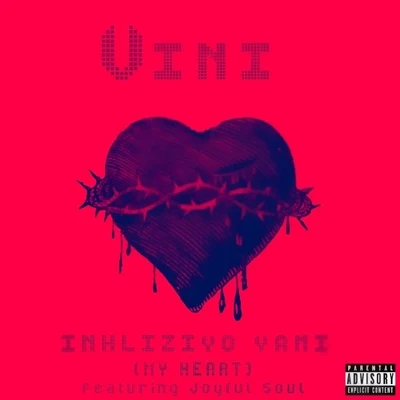 Inhliziyo Yami (feat. Joyful Soul) 專輯 VINI