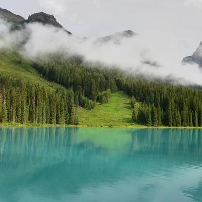 Piano para DormirMassagemSonido Del Bosque y Naturaleza 60 Temas Para Ayudarte A Relajarte