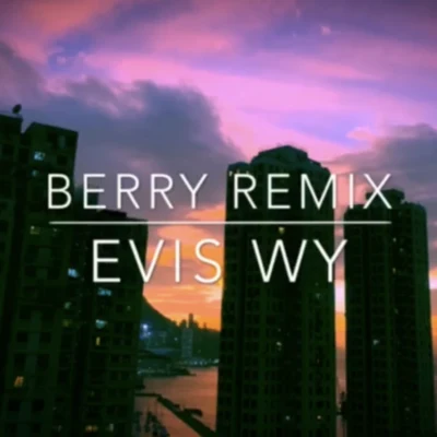 BERRY 專輯 Evis WY