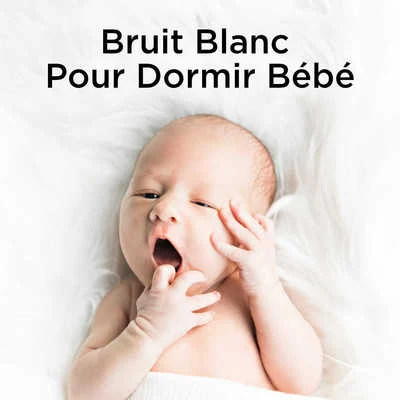 Bruit Blanc Pour Dormir Bébé 专辑 White Noise