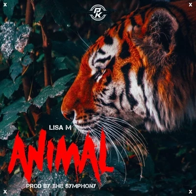 Animal 專輯 Lisa M/Cuebur