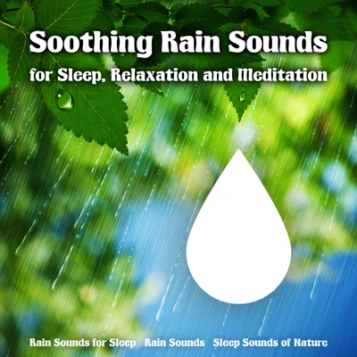 Soothing Rain Sounds for Sleep, Relaxation and Meditation 专辑 Sleep Sounds of Nature/Namaste Yoga/Sons da natureza HD