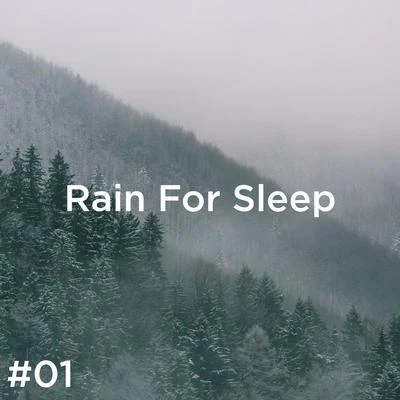 01 Rain For Sleep 專輯 BodyHI