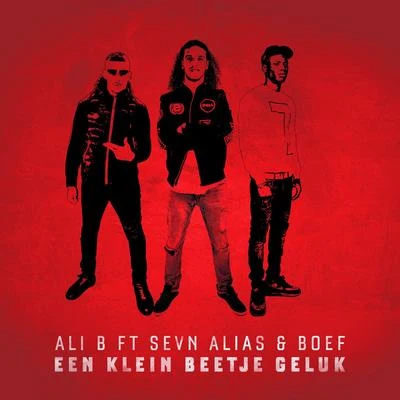 Een Klein Beetje Geluk (feat. Boef & Sevn Alias) 專輯 Sevn Alias