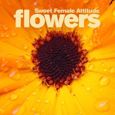 Sweet Female AttitudeeSQUIREReloadRobbie Rivera Flowers