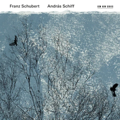 Franz Schubert 專輯 András Schiff