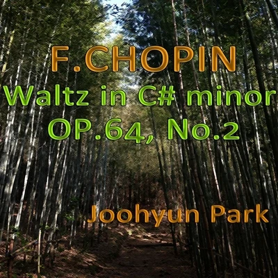 Chopin Waltz in C-Sharp Minor, Op. 64, No. 2 专辑 Joohyun Park/Jerry Goldsmith