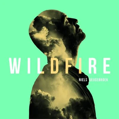 Wildfire 专辑 Niels Geusebroek