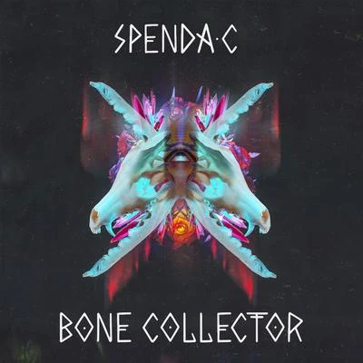 Bone Collector 專輯 Spenda C