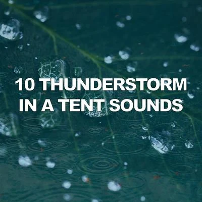 10 Thunderstorm in a Tent Sounds 专辑 Calming Rainforest Sounds/It's Raining/Thunder Storms & Rain Sounds