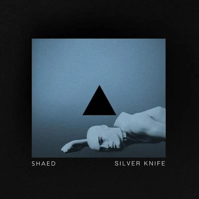 Silver Knife 專輯 Shaed/Patrick Metzker/Lil Kleine/VIZE/Jonas Brothers