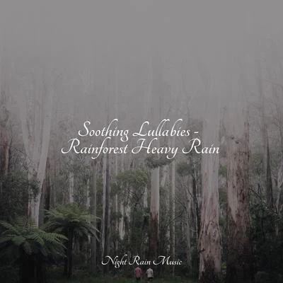 Soothing Lullabies - Rainforest Heavy Rain 專輯 A Sudden Rainstorm/Relaxing Sleep Sound/Meditation Awareness