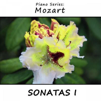 James Wright Webber Piano Series: Mozart (Sonatas 1)