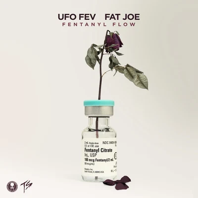 Fat Joe Fentanyl Flow (feat. Fat Joe) [Radio Edit]