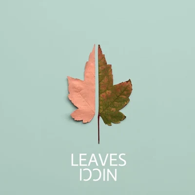 Leaves 专辑 Nicci Music