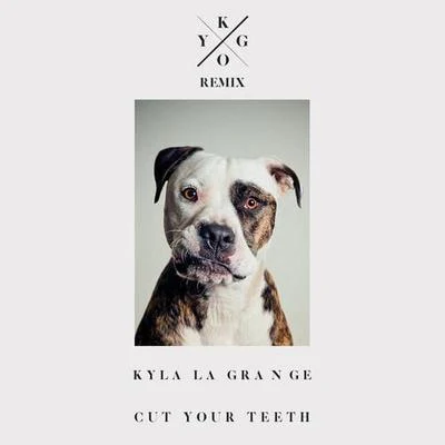 Cut Your Teeth (Kygo Remix) 專輯 Kygo