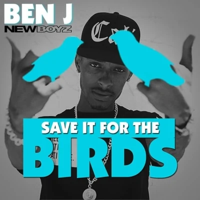 Save It For the Birds 專輯 New Boyz