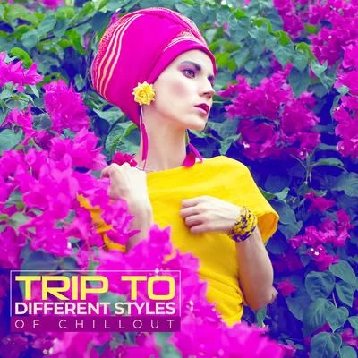 Trip to Different Styles of Chillout: 2019 Chill Out Music in Styles of Many Cultures Like Arabian, Oriental & Indian 专辑 Chill Music Universe