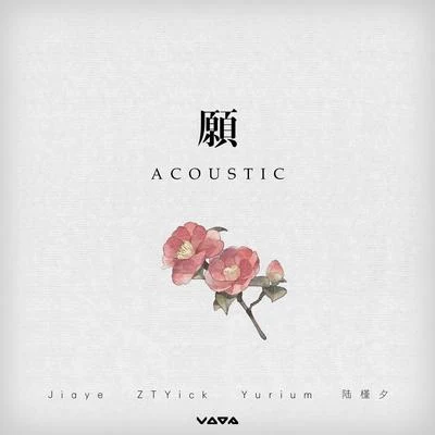 願 (Acoustic) 專輯 ZTYick/Dk澄/Jiaye