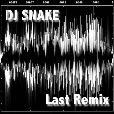 Last Remix 專輯 DJ Snake/Unregular/Chris Robleda/Lauv