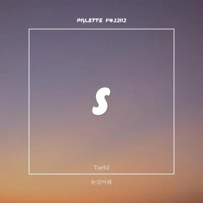 PALETTE F#1202. 专辑 sica/SOUND PALETTE