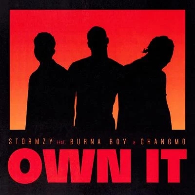 Own It (feat. Burna Boy & CHANGMO) 專輯 CHANGMO