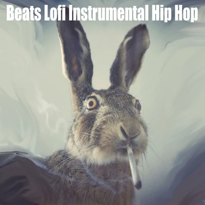 Beats Lofi Instrumental Hip Hop 专辑 NIDO-LOFI/ChillHop Beats/High-Ranking instrumentals