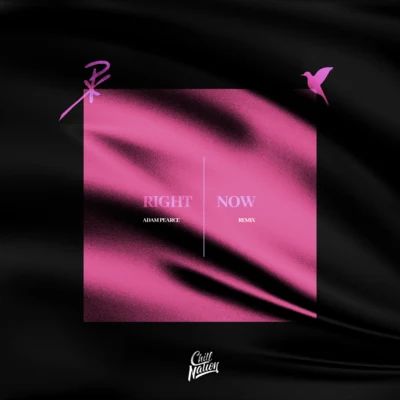 Right Now (Adam Pearce Remix) 專輯 Nurko/Morgan Page/Pex L