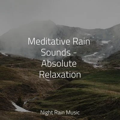 Meditative Rain Sounds - Absolute Relaxation 专辑 Nursery Rhyme Instrumentals/Nursery Rhymes ABC/Children's Music