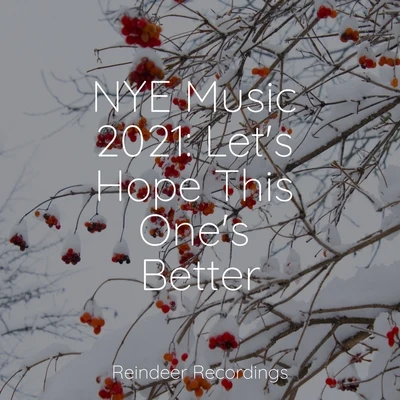 NYE Music 2021: Let&#x27;s Hope This One&#x27;s Better 专辑 New Christmas/Italian Christmas Music Academy/Xmas Party Ideas