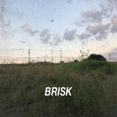 Brisk (feat. Nathan Thompson) 專輯 Jako/Miks/Elmäx