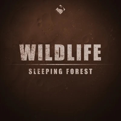 Sleeping Forest 專輯 Wildlife/Various Arists/Sergey Sivenenko/Cj RcM/RD Project