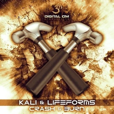 KaliAli Love CRASH & BURN