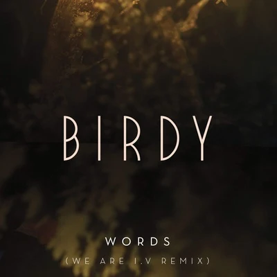 Words (We Are I.V Remix) 專輯 BIRDY