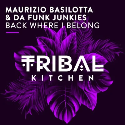 Back Where I Belong 專輯 Maurizio Basilotta