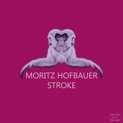 Moritz Hofbauer Stroke