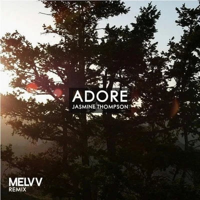 Adore (Melvv Remix) 专辑 Melvv