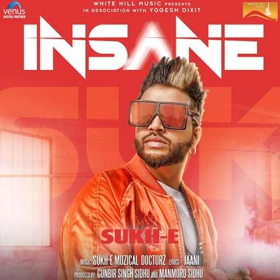 Insane 專輯 Sukh-E Muzical Doctorz/Sam Sandhu/AB Rockstar