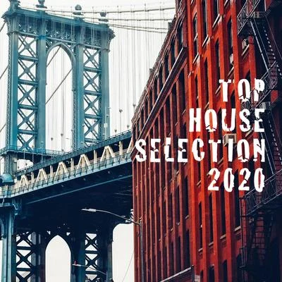 Top House Selection 2020 专辑 COSMOS