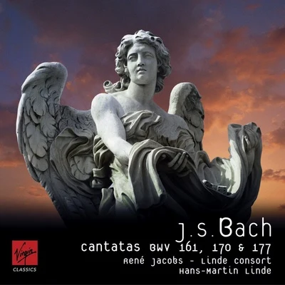 Bach Cantatas 專輯 René Jacobs/Schola Cantorum Basiliensis